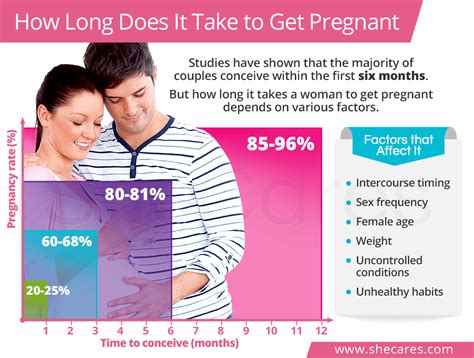 how long should it take to conceive