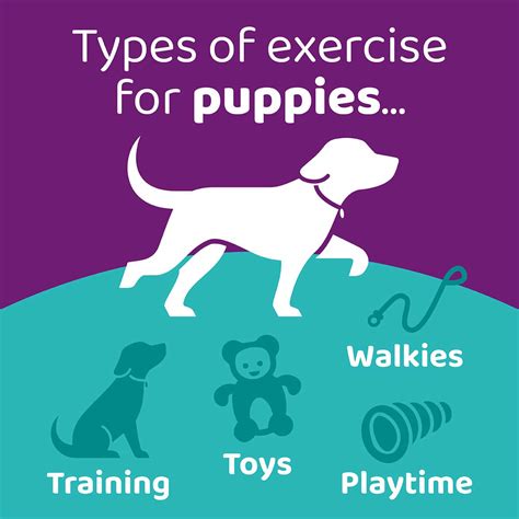 how long should puppies exercise