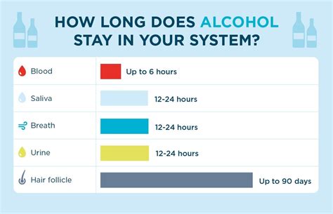 how long till alcohol leaves your system