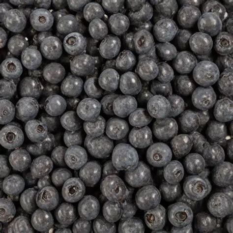 how long to dehydrate blueberries