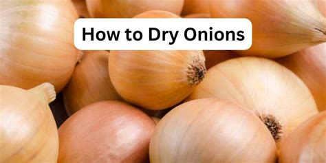 how long to dry onions