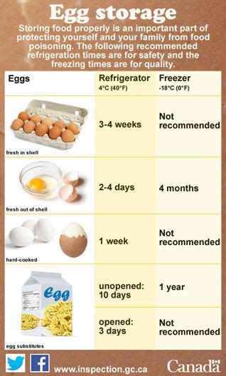 how long to keep fresh eggs