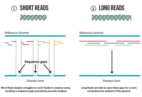 How Long To Read