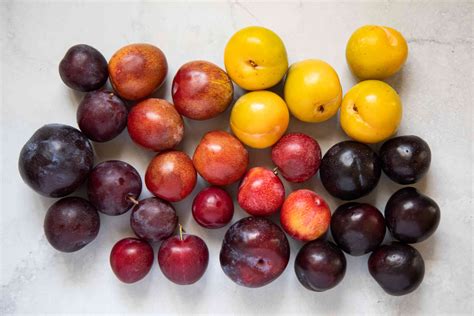 how many different varieties of plums are there?