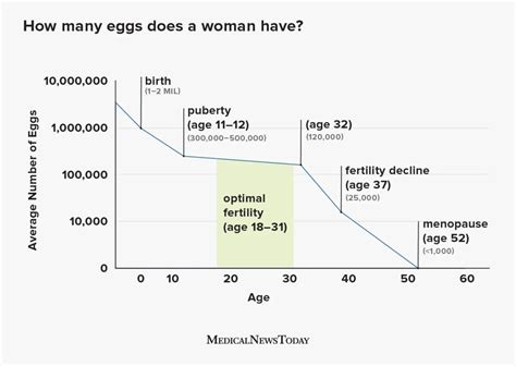 how many eggs does a fertile woman have