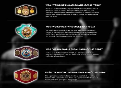how many heavyweight boxing belts are there