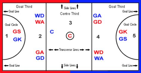how many players play netball