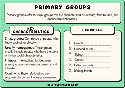 How Many Primary Groups Are There In Tally
