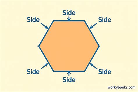 How Many Sides Does Hexagon Has