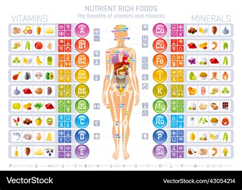 how many vitamins does your body need