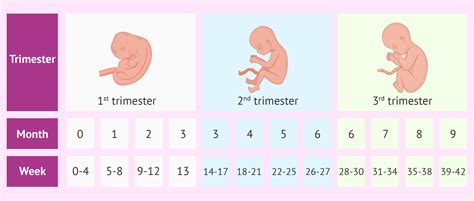 How Many Weeks In 5 Years
