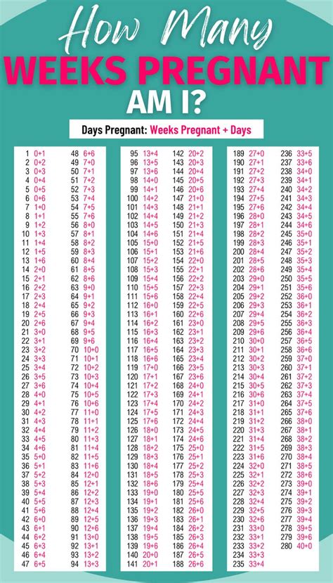 How Many Weeks In A Year