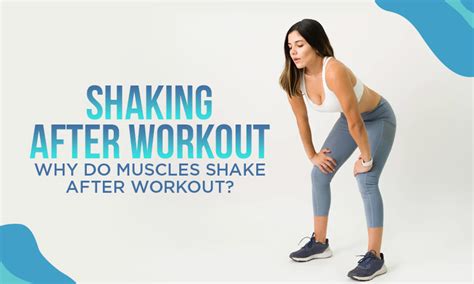 how much catalyst shake after workout