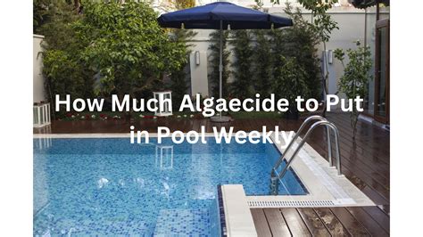 how much algaecide to put in pool weekly