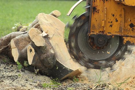 how much does a stump grinder cost