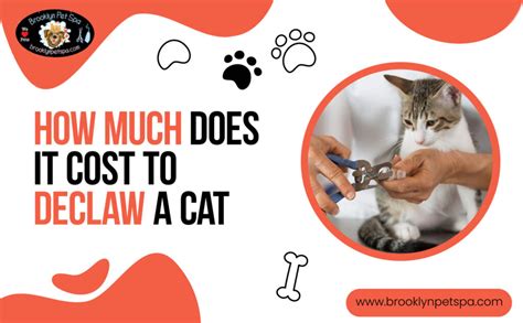 how much does it cost to declaw