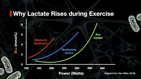 How Much Does M4 Lactate Dehydrogenase Weigh