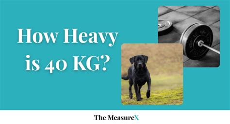 How Much Is 40 In Pounds