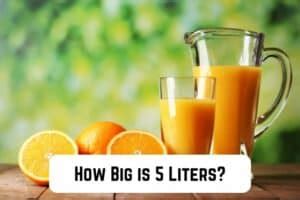 How Much Is Five Liters