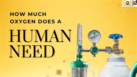 How Much Oxygen Does The Amazon Produce