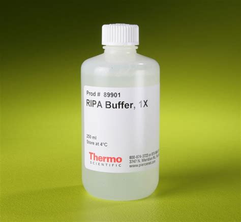 how much ripa buffer to use