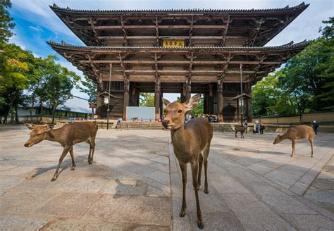 how much time to spend in nara