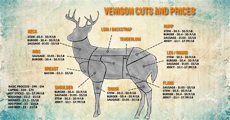 how much to process a deer