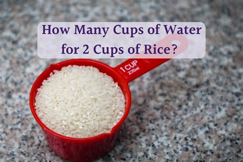 how much water for one cup rice