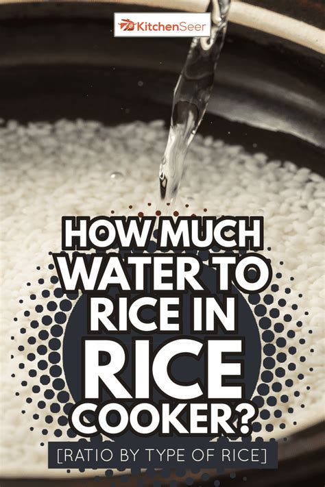 how much water to put in rice