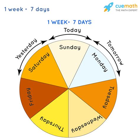 How Much Weeks In A Year