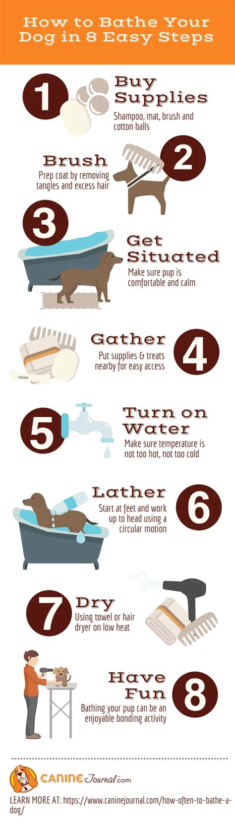 how often should a dog bath