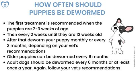 how often should a dog be wormed