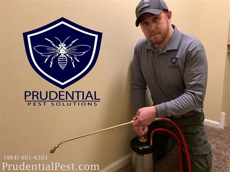 how often should an exterminator come