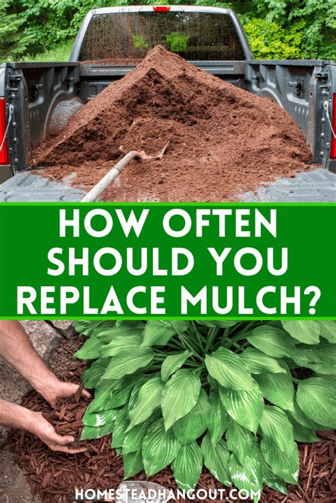 how often should you change mulch