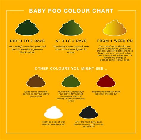how old is poop
