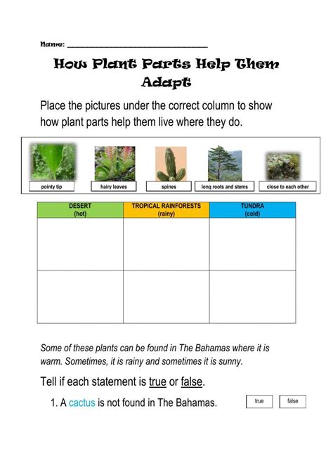 How Plants Adapt Worksheet K5 Learning Plant Adaptation Worksheet - Plant Adaptation Worksheet
