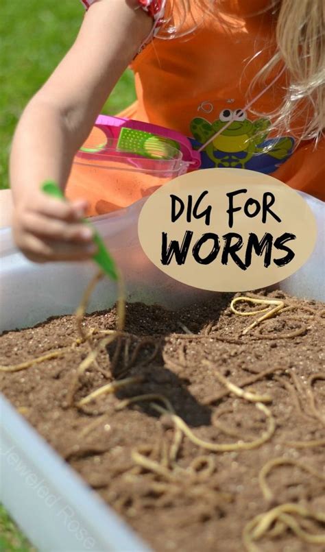 How Playing With Worms Taught Me A Bit Math Worms - Math Worms