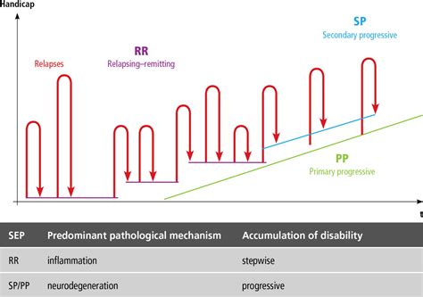 how long do relapses last with ms