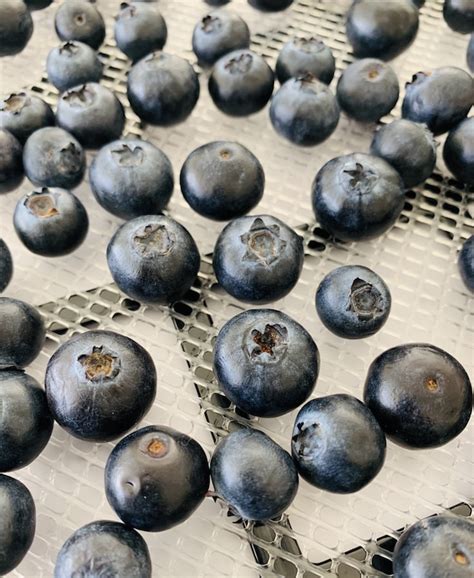 how long finished dehydrate blueberries