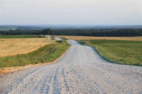 How Roads Have Transformed The Natural World Science Science On The Road - Science On The Road
