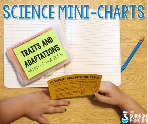 How Science Mini Charts Can Help You The Mini Science Com - Mini Science Com