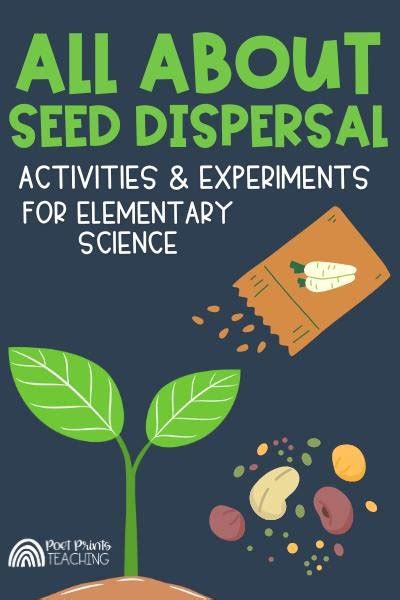 How Seeds Disperse Elementary Science Activities Poet Seed Dispersal Worksheet 2nd Grade - Seed Dispersal Worksheet 2nd Grade
