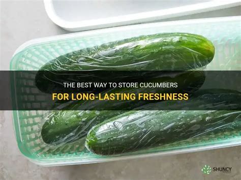 how should cucumbers be stored