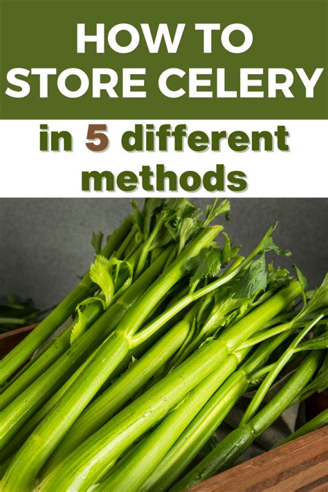 how should you store celery