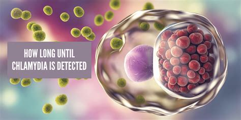 how soon is chlamydia detected