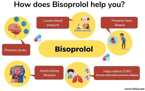 how long does bisoprolol take to work