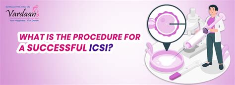 how successful is icsi