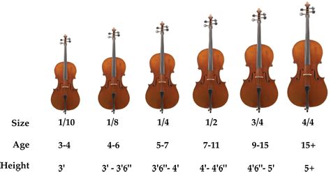 how tall is a full size cello