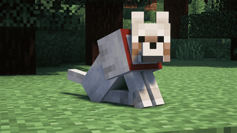 how tame a wolf in minecraft