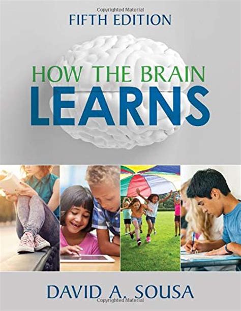 How The Brain Learns David Sousa